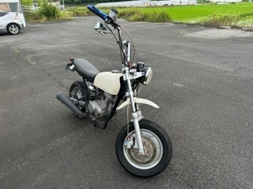 HONDA エイプ】80ccボア登録 アップハン、社外Fディスク仕様 実動車