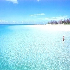 🏝️一緒に海に行ける方募集🏝️