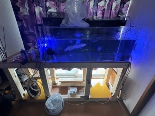 水槽