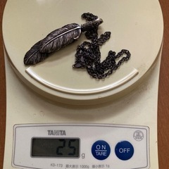 シルバーのネックレスとフェザーのセット