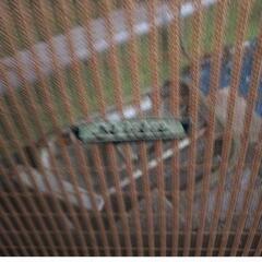 引取限定❗埼玉北部　ダイヤトーンスピーカー　巨大スピーカー　ハンドメイド　家電 オーディオ