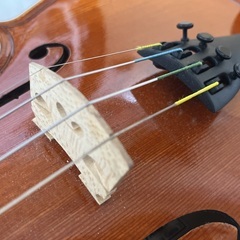 【※サイン付き　プロヴァイオリニストAyasaさん直選定個体‼︎】ヴァイオリン