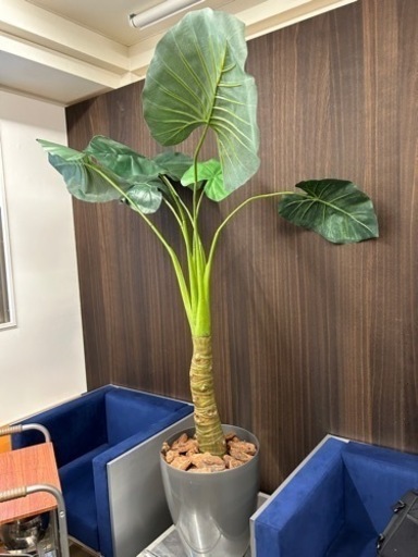生活雑貨 家庭用品 観葉植物　フェイク
