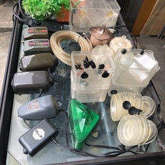 1200ガラス水槽、観賞魚、熱帯魚