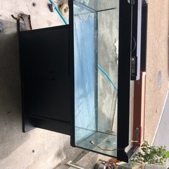 1200ガラス水槽、観賞魚、熱帯魚 1200ガラス水槽、観賞魚、熱帯魚