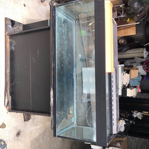 1200ガラス水槽、観賞魚、熱帯魚
