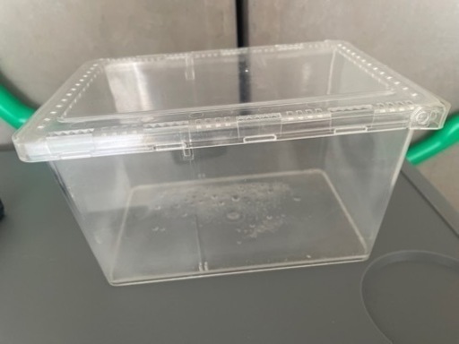 クワガタ用品　ペット