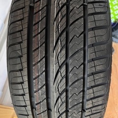 マックストレック、MAXTREK.245/30/20   