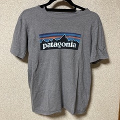 お値下げ　パタゴニアPatagoniaTシャツグレーXL（14）...