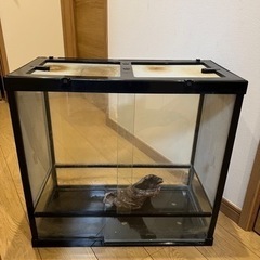 時々品物追加 爬虫類 飼育用品 新古品