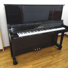 ディアパソン DR125BF 【内部調整 / 外装研磨美装 / 調律済】