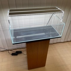 ADA水槽セット熱帯魚