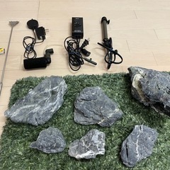 ADA水槽セット熱帯魚