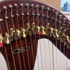 青山ハープ AOYAMA 130B 34弦　取引限定