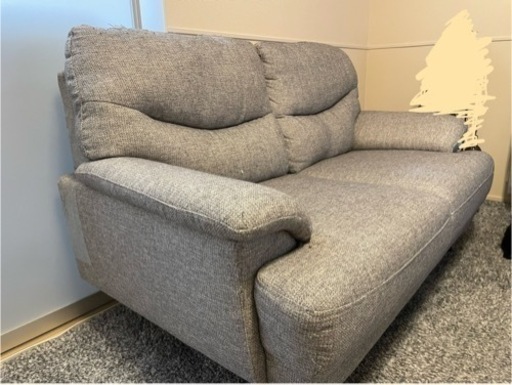 2人用ソファキャッツ3GY5Y）グレー (ごましお) 豊中のソファ《3 