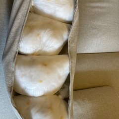 IKEA Vimle 2人掛け　ソファベッド