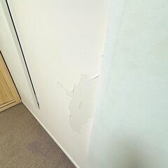 新日本ミュージック製　セリーヌ 3.2畳 -35db　ハイロング仕様　東京から！