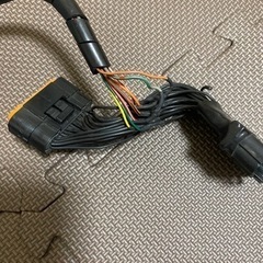 シグナスX エニグマ