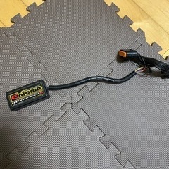 シグナスX エニグマ