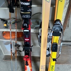 テレマークスキー　アルペンスキー