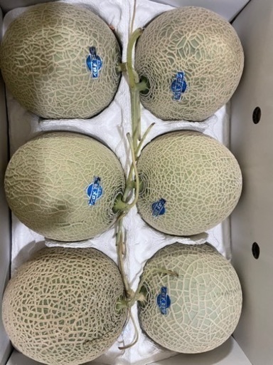 高級メロン