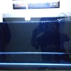 アクロ　水槽セット！