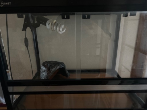 ガラスゲージ(爬虫類、小動物などに)
