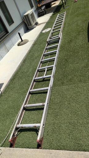 2連ハシゴ　はしご　623センチ
