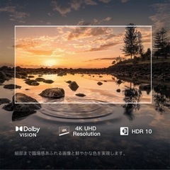 チューナーレステレビ 43V型 4K Google TV ネット動画対応