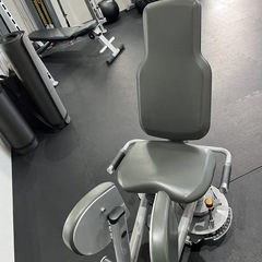 Life fitness インナーサイ