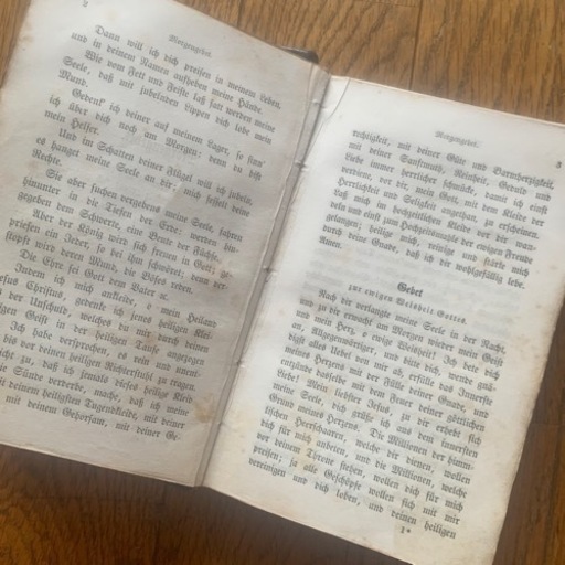 アンティーク洋書ハイジ ドイツ語版 1900年代初頭 古書 インテリア