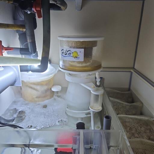 特注オーバーフロー水槽機材一式込み(海水魚)