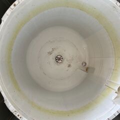 洗濯機の分解クリーニング行っています！配送設置込みアイリスオーヤマオ6.0K　　2019年製　分解クリーニング済み！！