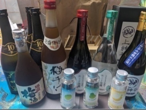 お酒セット6種類11本セット