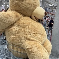 Costco クマ ぬいぐるみ