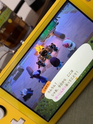 その他 littleSwitch