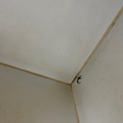 値下げ！大型爬虫類ケージ売ります