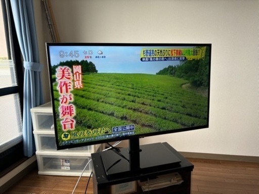 家電 テレビ 液晶テレビ