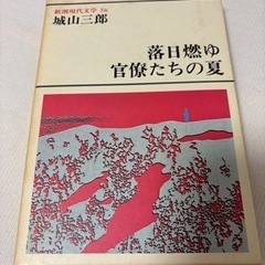 新品・未開封】相川七瀬20周年記念パンフレット（NANASE AIKAWA 20th ANNIVERSARY RISKY PRESS特別号） (K)  星田のその他の中古あげます・譲ります｜ジモティーで不用品の処分