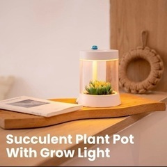 FTOYIN 多肉植物 快適なナイトライト グロウライト付き多肉植物の鉢