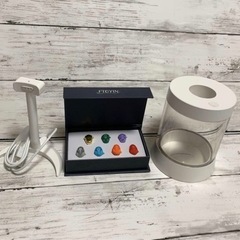 FTOYIN 多肉植物 快適なナイトライト グロウライト付き多肉植物の鉢