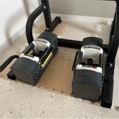 【2/2】可変式ダンベルセット【40キロ】 40kg 2個セット 可変式ダンベル」の人気商品一覧 | 安い商品を通販