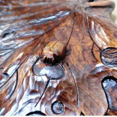 けやきのお盆　菓子皿　木製　大皿　茶道　工芸品　飾り　彫刻　天然木　ひょうたん型　カブトムシ　和　日本　伝統工芸　工芸品　文化