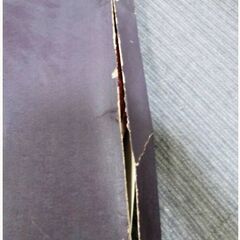 けやきのお盆　菓子皿　木製　大皿　茶道　工芸品　飾り　彫刻　天然木　ひょうたん型　カブトムシ　和　日本　伝統工芸　工芸品　文化