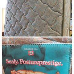 【愛品倶楽部柏店】 収納付きセミダブルベッド 「F:マルミツ(ニトリ) 」「M:シーリー モノグラム5000」