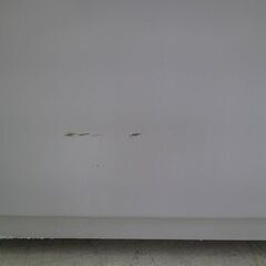 ID:G60191198　洗濯機　7K　ヤマダ　23年式　※キズ有