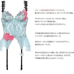 サルート 83G 40周年限定 新品 スリーインワン C70 ターコイズ サルート 83G 40周年限定 新品 スリーインワン C70 ターコイズ