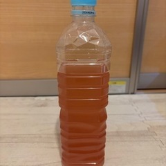 ゾウリムシ　1L容器　メダカ針子の餌などに