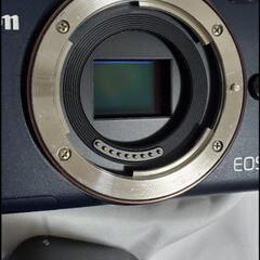 お譲り決まりました