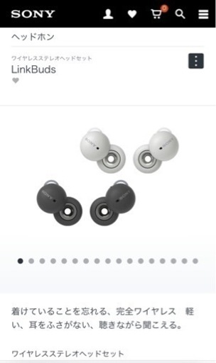 LinkBuds  交換希望